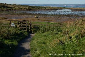 Ballymaccormick Point