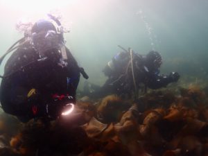 Sandy Bay, Orlock Point