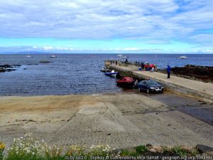 Waterfoot MCZ Seagrass Bed