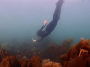 Sandy Bay, Orlock Point