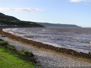 Glenarm Bay Seagrass