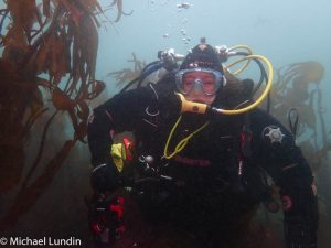 Farganlack Point Gullies