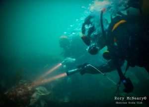 Castle Island Reef