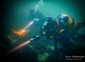 Castle Island Reef