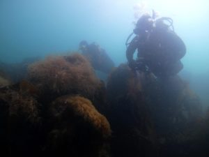 Sandy Bay, Orlock Point