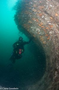 Ardglass Gullies