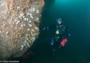 Ardglass Gullies