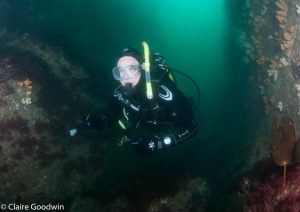 Ardglass Gullies