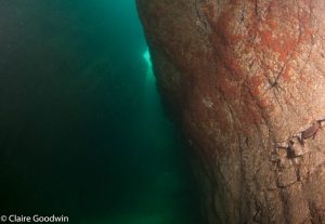 Ardglass Gullies