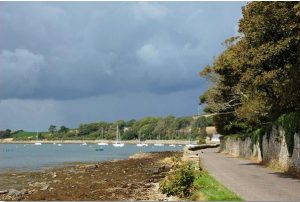 Ballyhenry Bay Seagrass