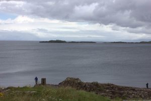 Large Skerries SW Wall